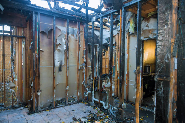 Professional Smoke Damage Removal technician working in Rush City, MN